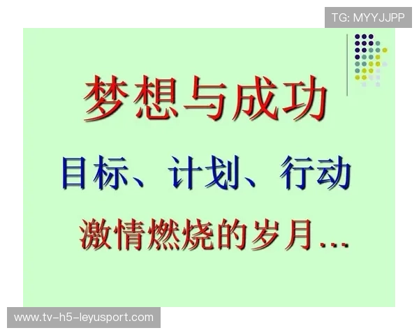 网球赛事社区参与度提升行动计划