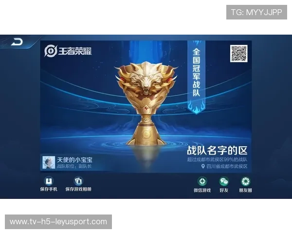 战队职业晋升制度透明化支持多通道成长,战队职位等级