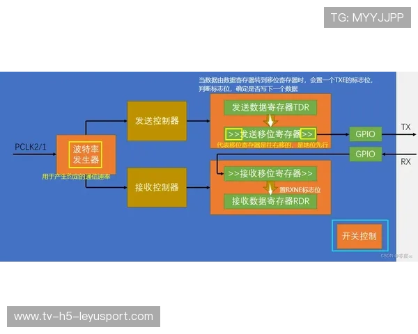 国际体能训练数据合规工具行业模板与教程包更新发布，国际体能三大认证